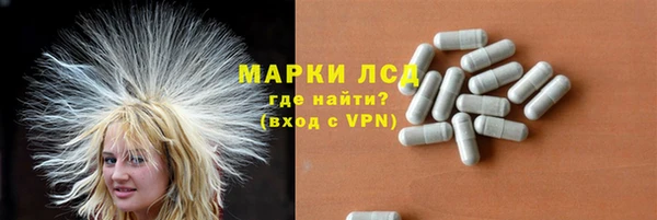 ГАЛЛЮЦИНОГЕННЫЕ ГРИБЫ Баксан