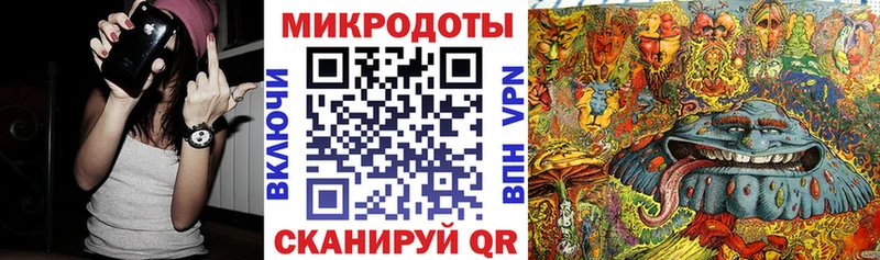 Галлюциногенные грибы Psilocybe  как найти закладки  Калининец 